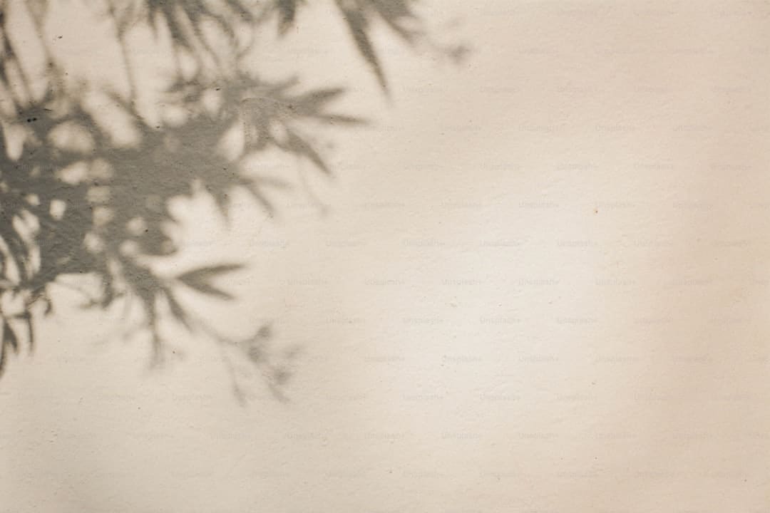 《归队》福庆角色介绍